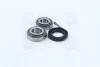 Комплект подшипника ступицы колеса. Задняя ось COMPLEX AUTOMOTIVE BEARINGS Sp.z.o.o. CX422 (фото 4)