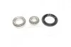Комплект подшипника ступицы колеса. COMPLEX AUTOMOTIVE BEARINGS Sp.z.o.o. COMPLEX AUTOMOTIVE BEARINGS Sp.z.o.o. CX523 (фото 1)
