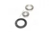 Комплект подшипника ступицы колеса. COMPLEX AUTOMOTIVE BEARINGS Sp.z.o.o. COMPLEX AUTOMOTIVE BEARINGS Sp.z.o.o. CX523 (фото 4)