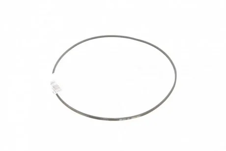 Поликлиновый ремень 2 ребра Contitech 2PJ800