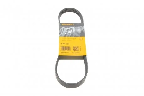 Дорожный ремень Contitech 5PK725