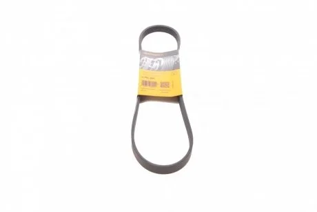 Поликлиновый ремень 5 ребер Contitech 5PK884