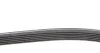 Комплект паса поликлинового Audi A3/Seat Leon/Sko Contitech 6DPK1195K1 (фото 2)
