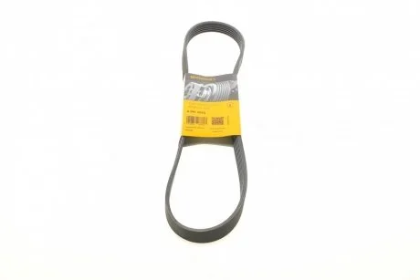 Поликлиновый ремень 6 ребер Contitech 6PK1010
