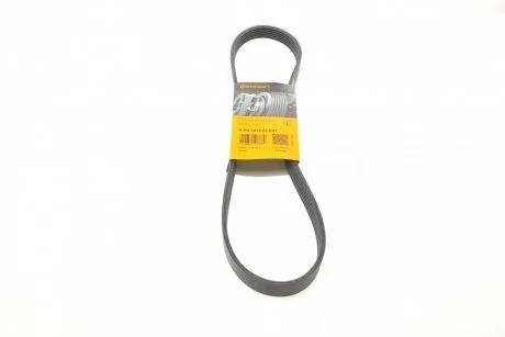 Поликлиновый ремень 6 ребер Contitech 6PK1019 ELAST