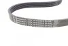 Ремкомплект приводного ремня (Вир-во ContiTech) Contitech 6PK1019 ELAST T1 (фото 5)