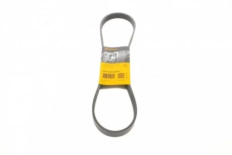 Поликлиновый ремень 6 ребер Contitech 6PK1033 ELAST