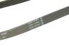Пас поликлиновый Citroen Jumpy/Peugeot Expert 2.0 Contitech 6PK1073EXTRA (фото 4)