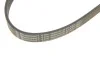 Поликлиновый ремень Contitech 6PK1090ELAST (фото 4)