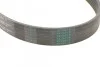 Поликлиновый ремень Contitech 6PK1105 (фото 3)