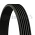 Пас приводной с длиной круга свыше 240см. Contitech 6PK1179EXTRA (фото 1)