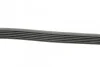 Поликлиновый ремень 6 ребер Contitech 6PK1205 (фото 2)