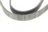Поликлиновый ремень 6 ребер Contitech 6PK1502 EXTRA (фото 4)