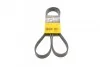 Поликлиновый ремень 6 ребер Contitech 6PK1555