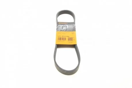 Поликлиновый ремень 6 ребер Contitech 6PK802EXTRA