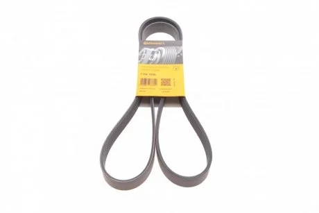 Поликлиновый ремень Contitech 7PK1605