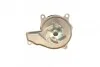 Водяной насос CONTINENTAL Contitech WPS3079 (фото 4)