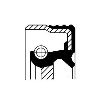 Сальник колінвала двигуна 100х120х15 FPM CORTECO 12012580B