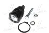 Опора кул нижня Mazda 3/5/626 Tribute KIA Clarus 95-00 Ford Escape 05-12 OLD CBMZ-17 (вир-во) CTR CB0274 (фото 4)