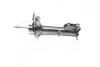 Амортизаційна стійка газоолійний на задній міст ліворуч CTR CYKH-950-G (фото 1)