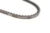 Клиновий ремінь DAYCO 10A0710C (фото 2)