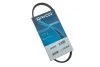 Поликлиновый ремень 3 ребер DAYCO 3PK500 (фото 2)