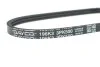 Поликлиновый ремень 3 ребер DAYCO 3PK500 (фото 3)
