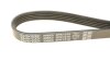 Поликлиновый ремень 5 ребер DAYCO 5PK1010 (фото 4)