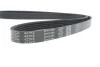 Поликлиновый ремень 5 ребер DAYCO 5PK1084 (фото 4)