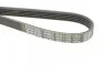 Полікліновий ремінь 5 ребер DAYCO 5PK1125 (фото 4)