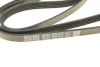 Поликлиновый ремень 5 ребер DAYCO 5PK1515 (фото 5)