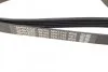 Поликлиновый ремень 5 ребер DAYCO 5PK1745 (фото 3)
