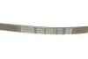 Поликлиновый ремень 5 ребер DAYCO 5PK915 (фото 5)