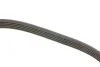Поликлиновый ремень DAYCO 5PK990 (фото 3)