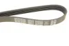 Поликлиновый ремень DAYCO 5PK990 (фото 5)