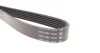 Поликлиновый ремень 6 ребер DAYCO 6PK1020K (фото 3)