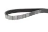 Поликлиновый ремень 6 ребер DAYCO 6PK1025 (фото 2)