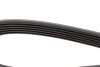 Поликлиновый ремень 6 ребер DAYCO 6PK1025 (фото 3)