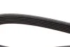 Поликлиновый ремень 6 ребер DAYCO 6PK1025 (фото 3)
