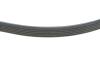 РЕМЕНЬ ПОЛИКЛИНОВЫЙ DAYCO 6PK1027EE (фото 3)
