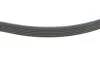 РЕМЕНЬ ПОЛИКЛИНОВЫЙ DAYCO 6PK1027EE (фото 3)
