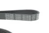 РЕМЕНЬ ПОЛИКЛИНОВЫЙ DAYCO 6PK1027EE (фото 4)