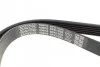 Поликлиновый ремень 6 ребер DAYCO 6PK1035 (фото 3)