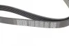 Поликлиновый ремень 6 ребер DAYCO 6PK1040 (фото 4)
