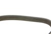 Поликлиновый ремень DAYCO 6PK1059 (фото 3)