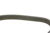 Поликлиновый ремень DAYCO 6PK1059 (фото 3)