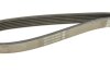Поликлиновый ремень DAYCO 6PK1059 (фото 4)