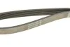 Поликлиновый ремень DAYCO 6PK1059 (фото 4)