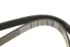 Поликлиновый ремень 6 ребер DAYCO 6PK1076 (фото 4)