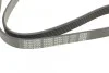 Поликлиновый ремень 6 ребер DAYCO 6PK1100 (фото 4)